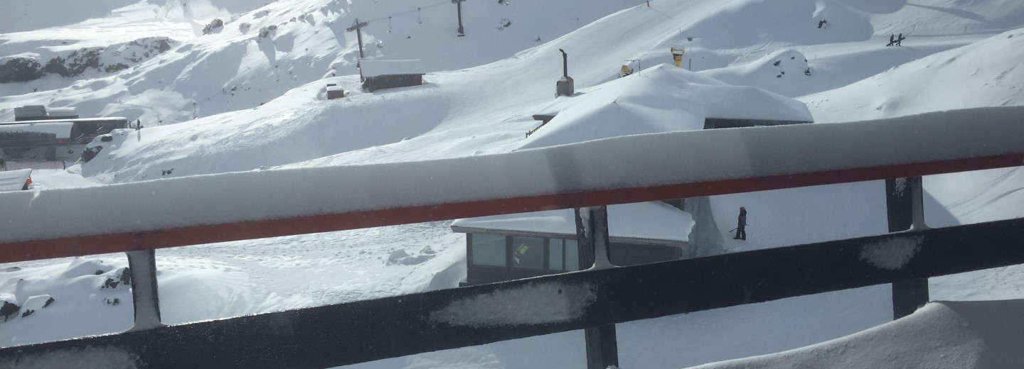 Summit Skiers handrail